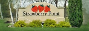 strawberry point wedding dj